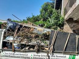 Best Retail Junk Removal in Manistee, MI